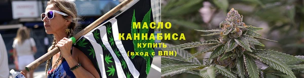 прущая мука Вяземский