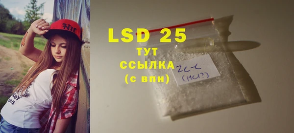 ПСИЛОЦИБИНОВЫЕ ГРИБЫ Вязники