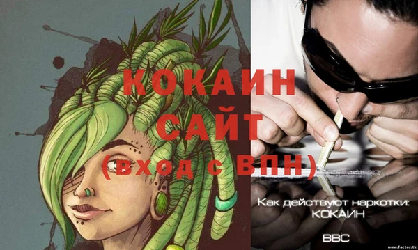 прущая мука Вяземский