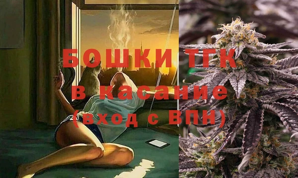 ПСИЛОЦИБИНОВЫЕ ГРИБЫ Вязники