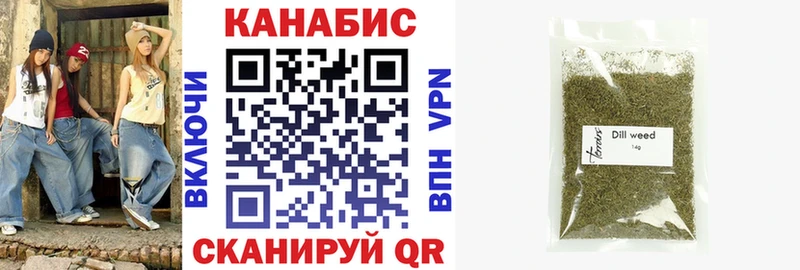 где найти   Лихославль  Каннабис сатива 